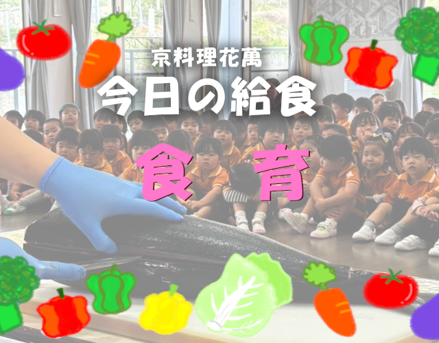 食育　ぶりの解体実演　幼稚園　給食