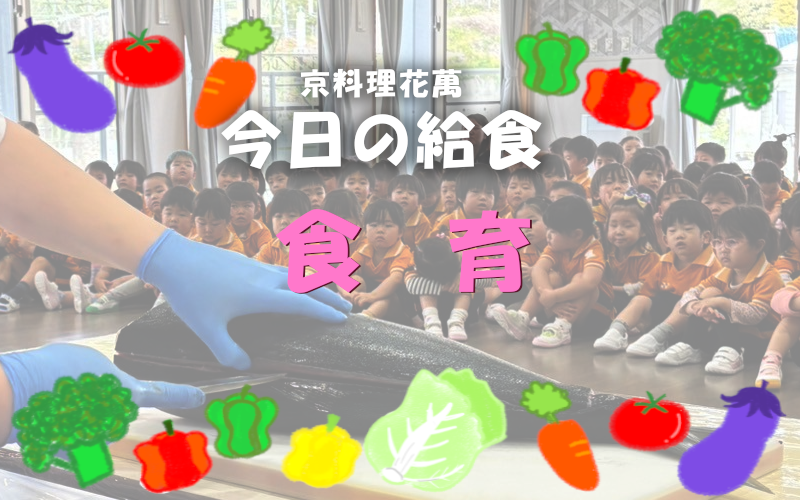 幼稚園食育「ぶりの解体実演」　今日の給食