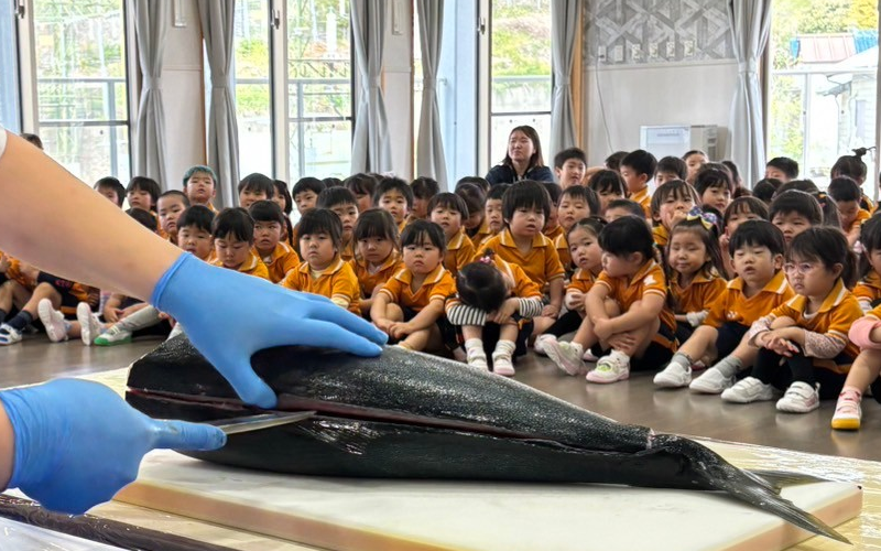 幼稚園給食　食育　「ぶりの解体実演」