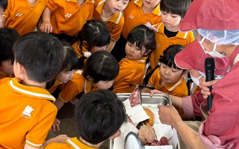 幼稚園給食　食育　「ぶりの解体実演」