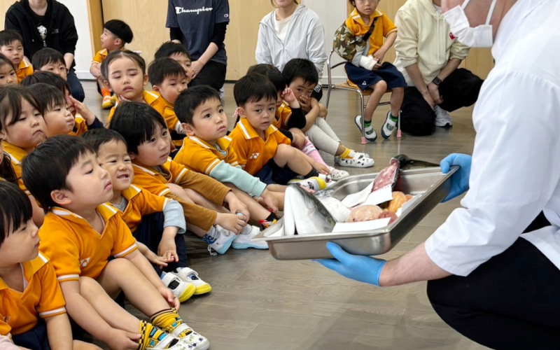 幼稚園給食　食育　「ぶりの解体実演」